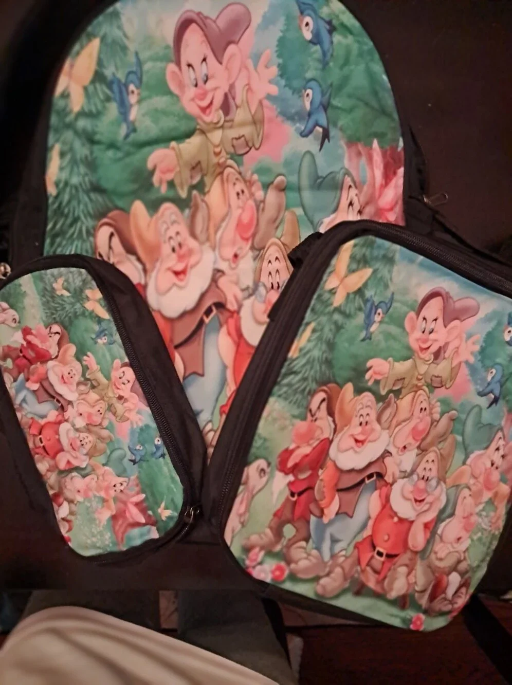 Kids Backpack Set with Colorful Cartoon Dwarf Print - Pink/Green